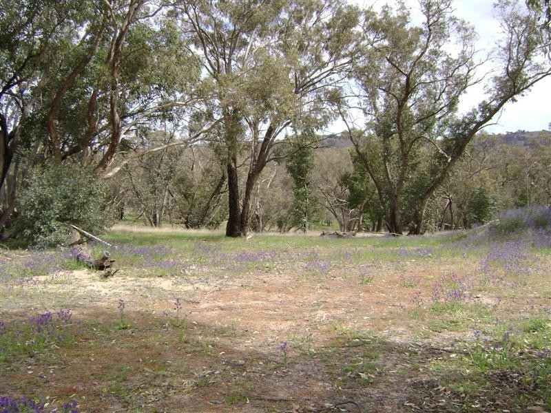 Lot 1, 211 Horton Drive, Woodstock NSW 2793