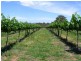 42 Delaneys Road, Cowra NSW 2794