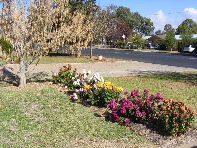 105 Lachlan Street, Cowra NSW 2794