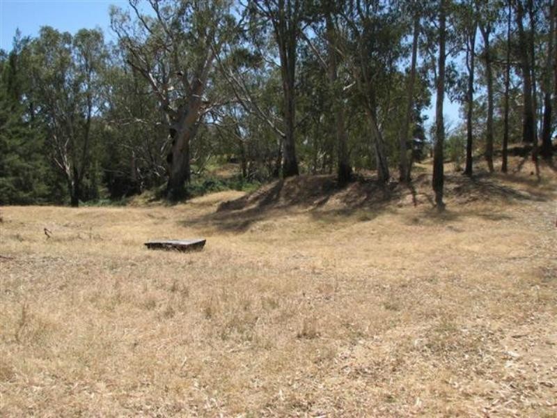 134 Flannerys Road, Wyangala NSW 2808