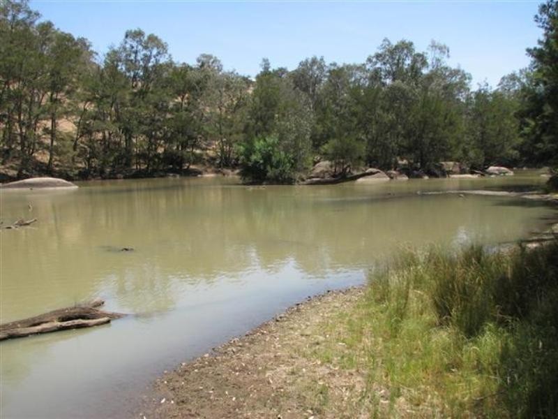 134 Flannerys Road, Wyangala NSW 2808