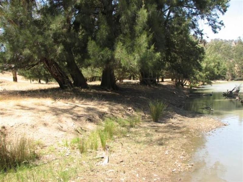 134 Flannerys Road, Wyangala NSW 2808