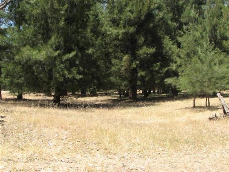 134 Flannerys Road, Wyangala NSW 2808