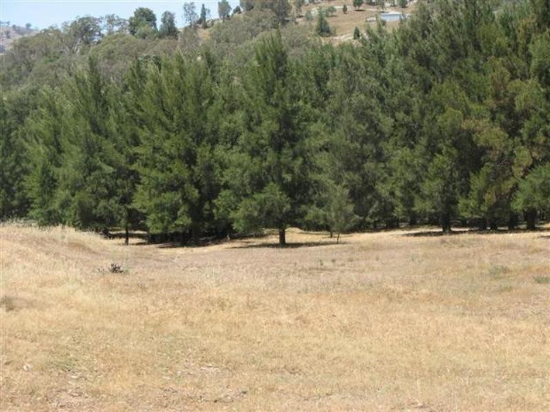 134 Flannerys Road, Wyangala NSW 2808