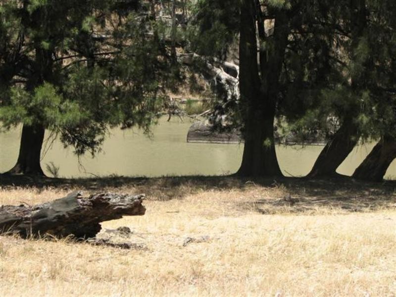 134 Flannerys Road, Wyangala NSW 2808