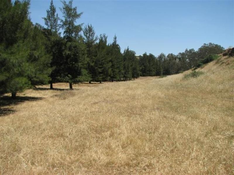 134 Flannerys Road, Wyangala NSW 2808