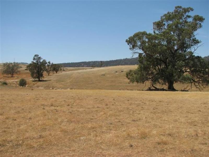 134 Flannerys Road, Wyangala NSW 2808