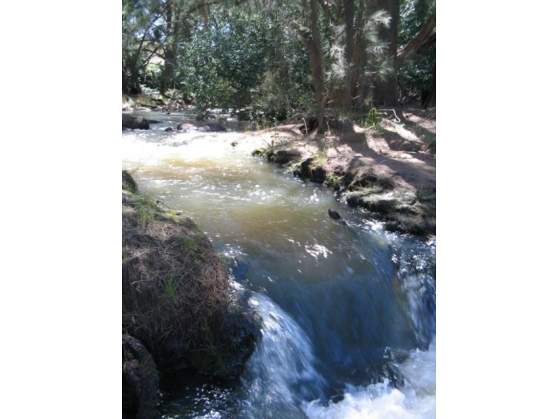 134 Flannerys Road, Wyangala NSW 2808