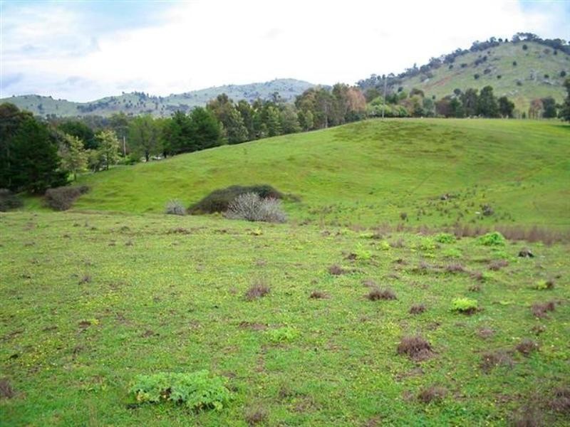 134 Flannerys Road, Wyangala NSW 2808