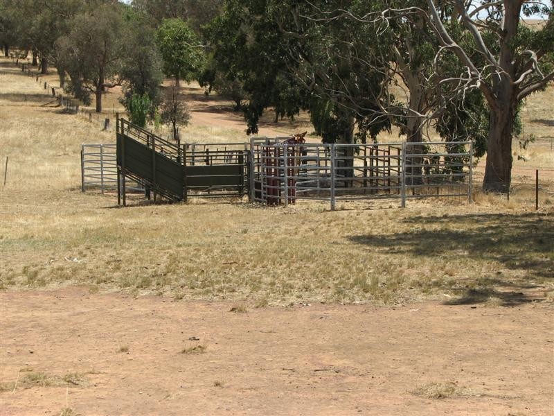 Lot 5 Elouera Road, Cowra NSW 2794