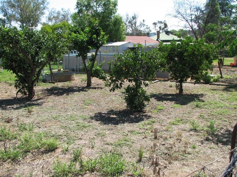 5 & 6 Waddell Street, Wattamondara NSW 2794