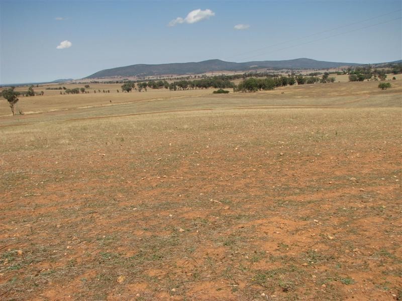 89 Lynchs Lane, Grenfell NSW 2810