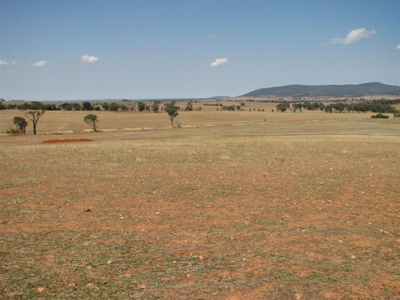 89 Lynchs Lane, Grenfell NSW 2810