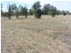 Lot 1 Young Road, Cowra NSW 2794