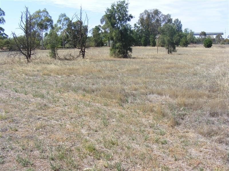 Lot 1 Young Road, Cowra NSW 2794