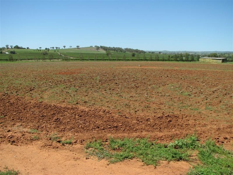 149 Auxiliary Street, Canowindra NSW 2804