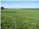 0 Rivers Road, Canowindra NSW 2804