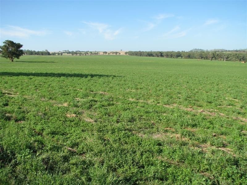 0 Rivers Road, Canowindra NSW 2804