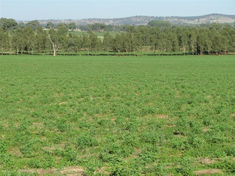 0 Rivers Road, Canowindra NSW 2804