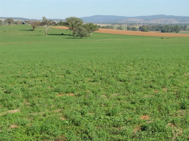 0 Rivers Road, Canowindra NSW 2804