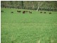 0 Rivers Road, Canowindra NSW 2804