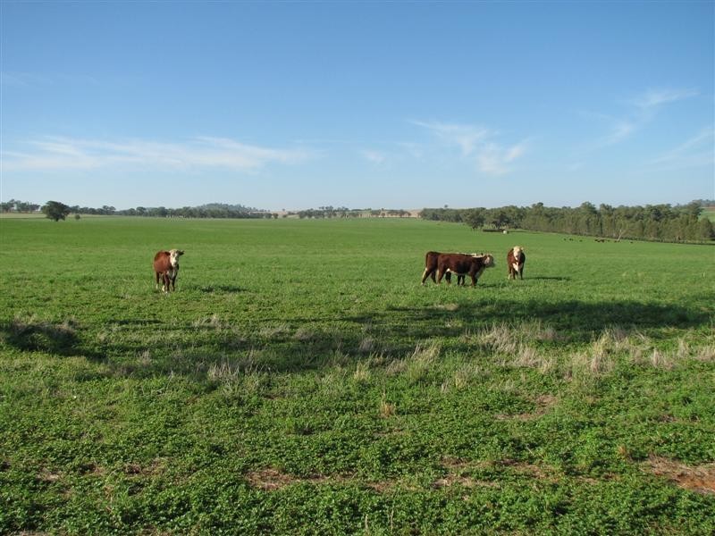 0 Rivers Road, Canowindra NSW 2804