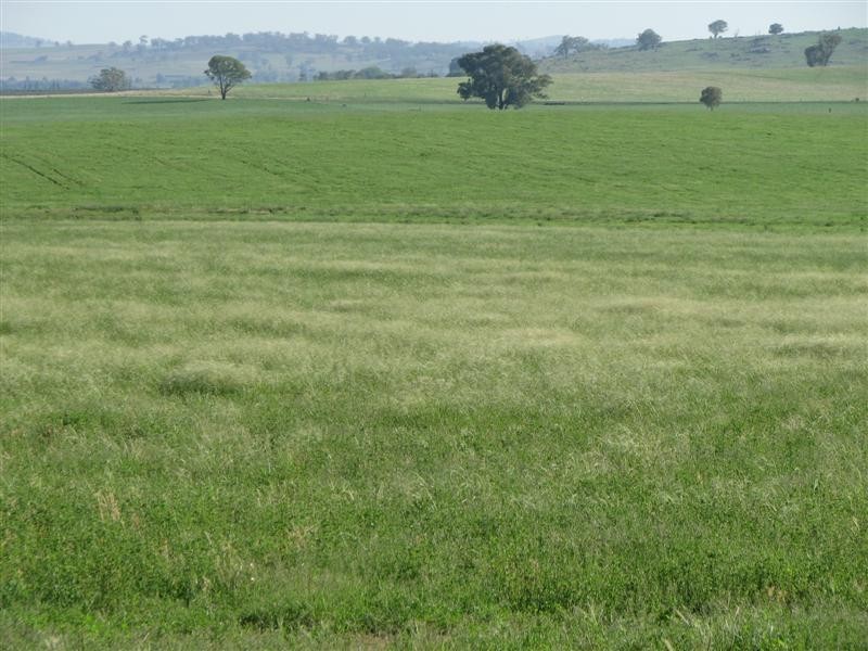 0 Rivers Road, Canowindra NSW 2804
