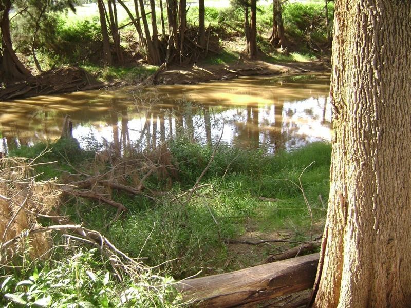 0 ‘Billabong’ George Russell Drive, Canowindra NSW 2804