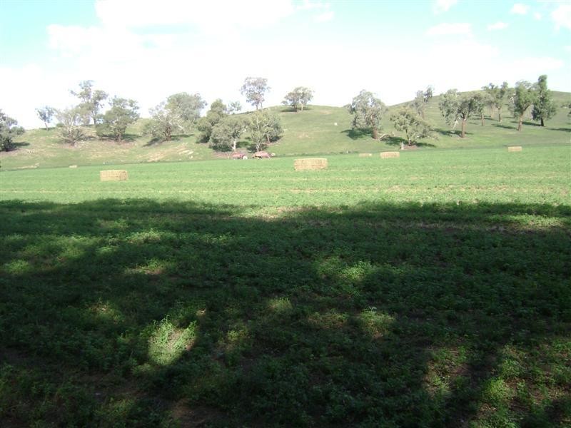 0 ‘Billabong’ George Russell Drive, Canowindra NSW 2804