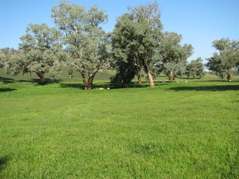 1212 Darbys Falls Road, Cowra NSW 2794