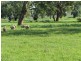 1212 Darbys Falls Road, Cowra NSW 2794