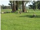 1212 Darbys Falls Road, Cowra NSW 2794