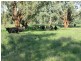 1212 Darbys Falls Road, Cowra NSW 2794