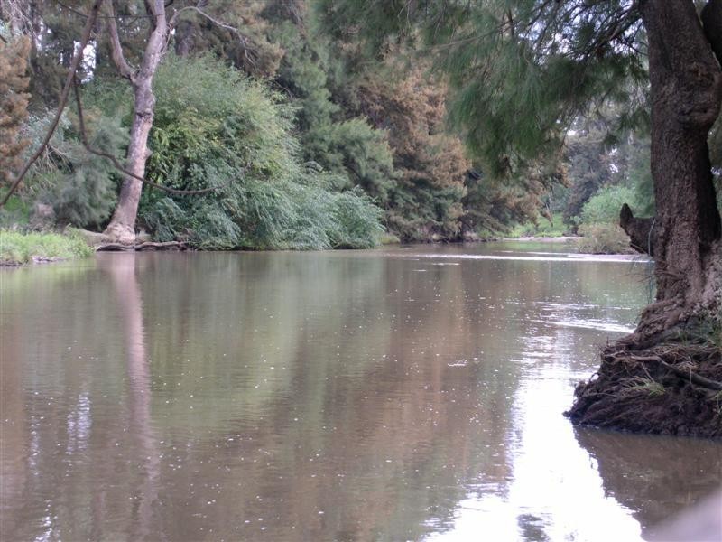 1212 Darbys Falls Road, Cowra NSW 2794