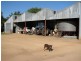 1212 Darbys Falls Road, Cowra NSW 2794
