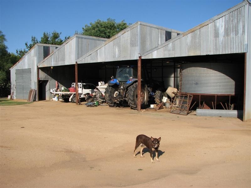 1212 Darbys Falls Road, Cowra NSW 2794