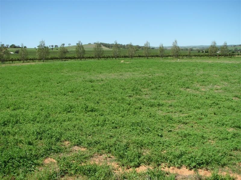 0 Auxiliary Road, Moorbell, Canowindra NSW 2804