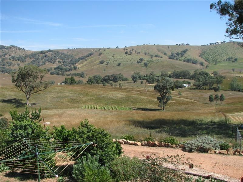 487 Mt McDonald Road, Cowra NSW 2794