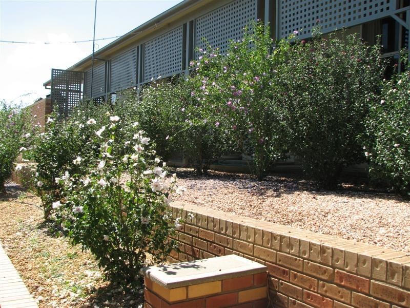 487 Mt McDonald Road, Cowra NSW 2794