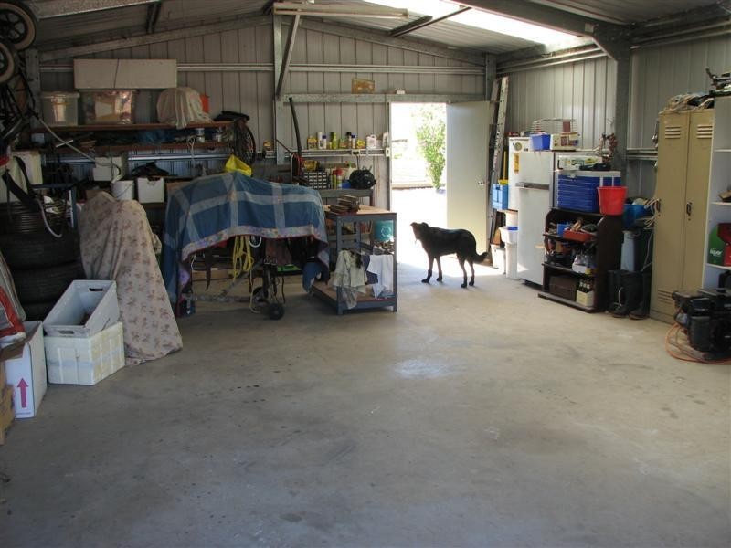 487 Mt McDonald Road, Cowra NSW 2794