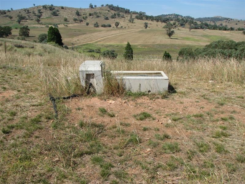 487 Mt McDonald Road, Cowra NSW 2794