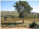 487 Mt McDonald Road, Cowra NSW 2794
