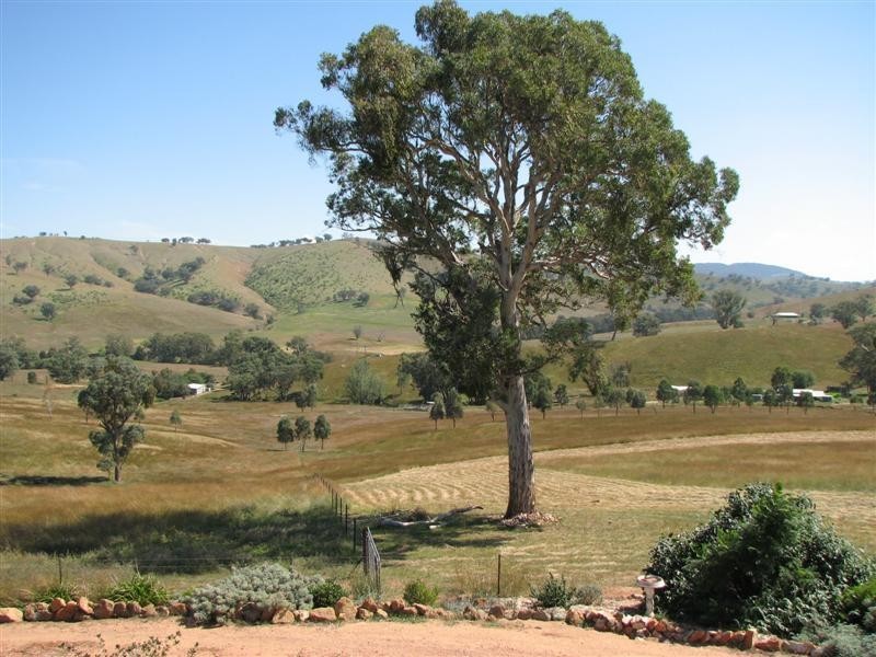 487 Mt McDonald Road, Cowra NSW 2794