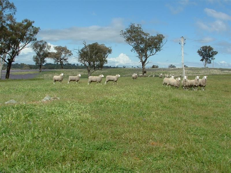 280 Elliots Road, Cowra NSW 2794