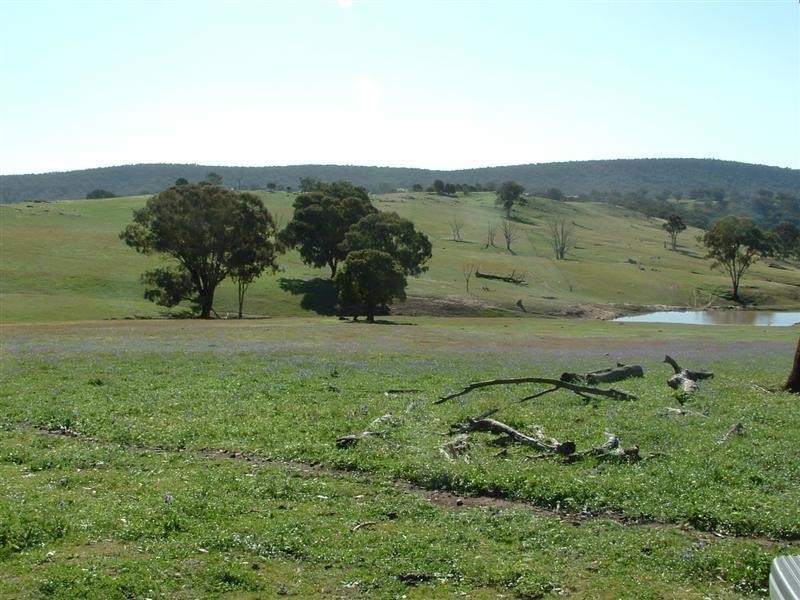 280 Elliots Road, Cowra NSW 2794