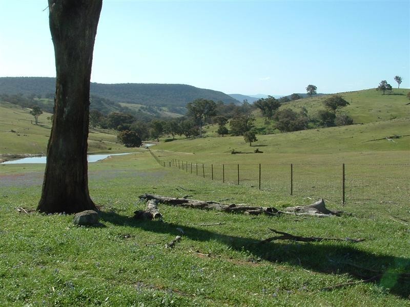 280 Elliots Road, Cowra NSW 2794