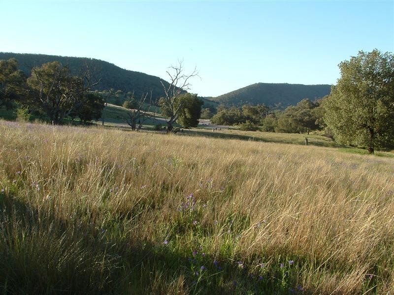 280 Elliots Road, Cowra NSW 2794