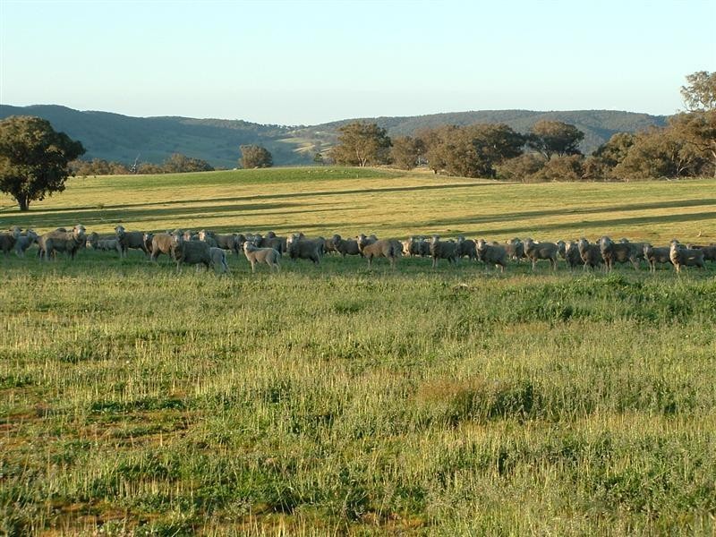 280 Elliots Road, Cowra NSW 2794