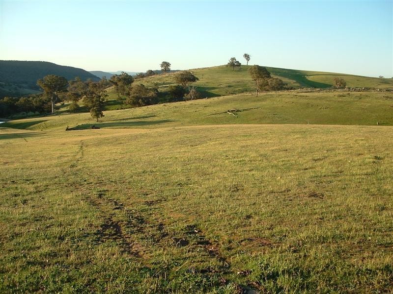 280 Elliots Road, Cowra NSW 2794