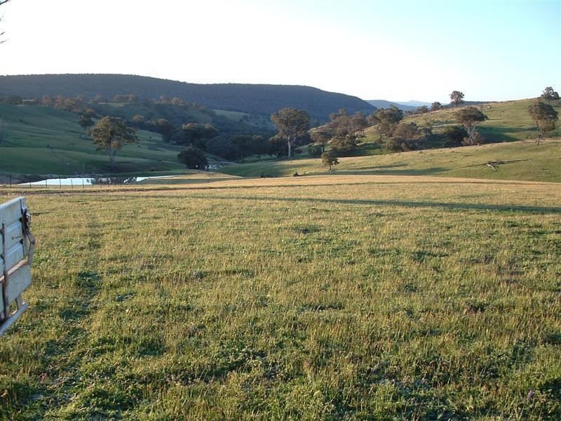 280 Elliots Road, Cowra NSW 2794